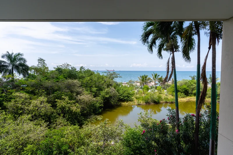 Vista al manglar y al Mar Caribe desde el balcón.
